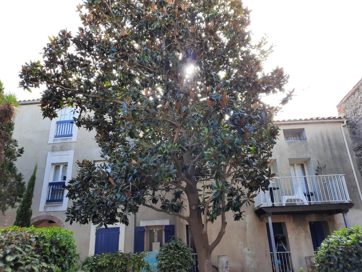 Appartement De Charme Sur Le Port De Marseillan ภายนอก รูปภาพ